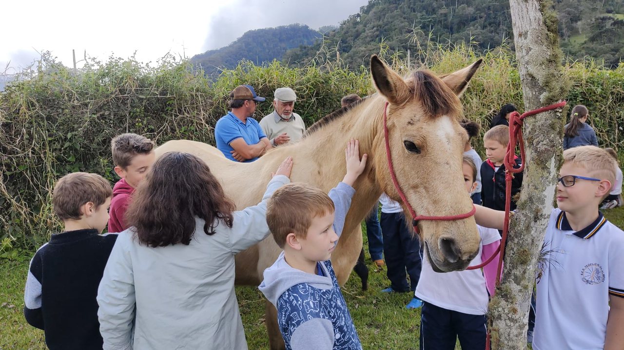 Alunos com cavalo em Benedito Bovo Easy Resize.com