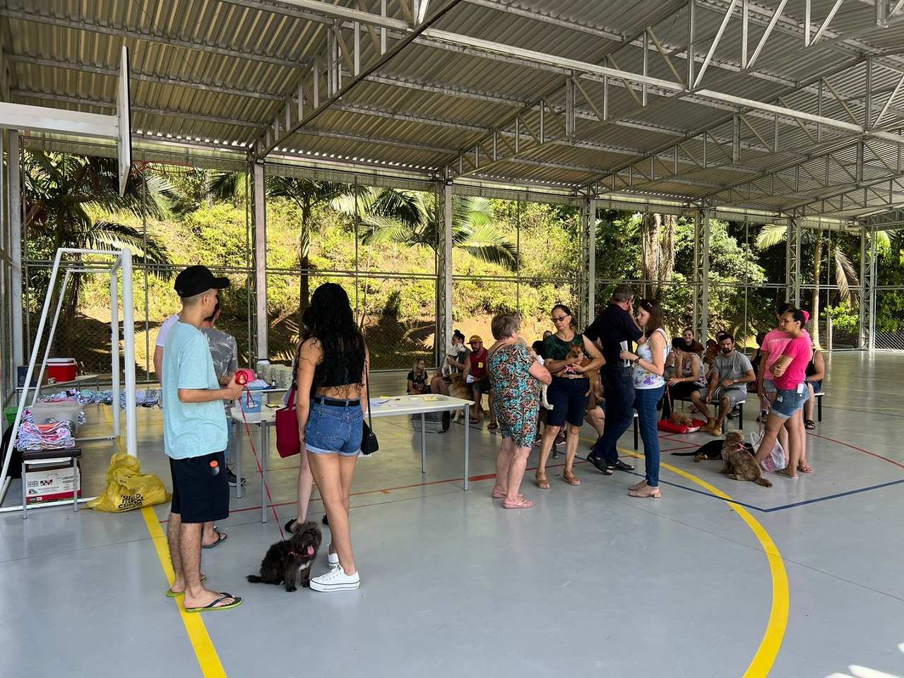 Castracao Indaial 1