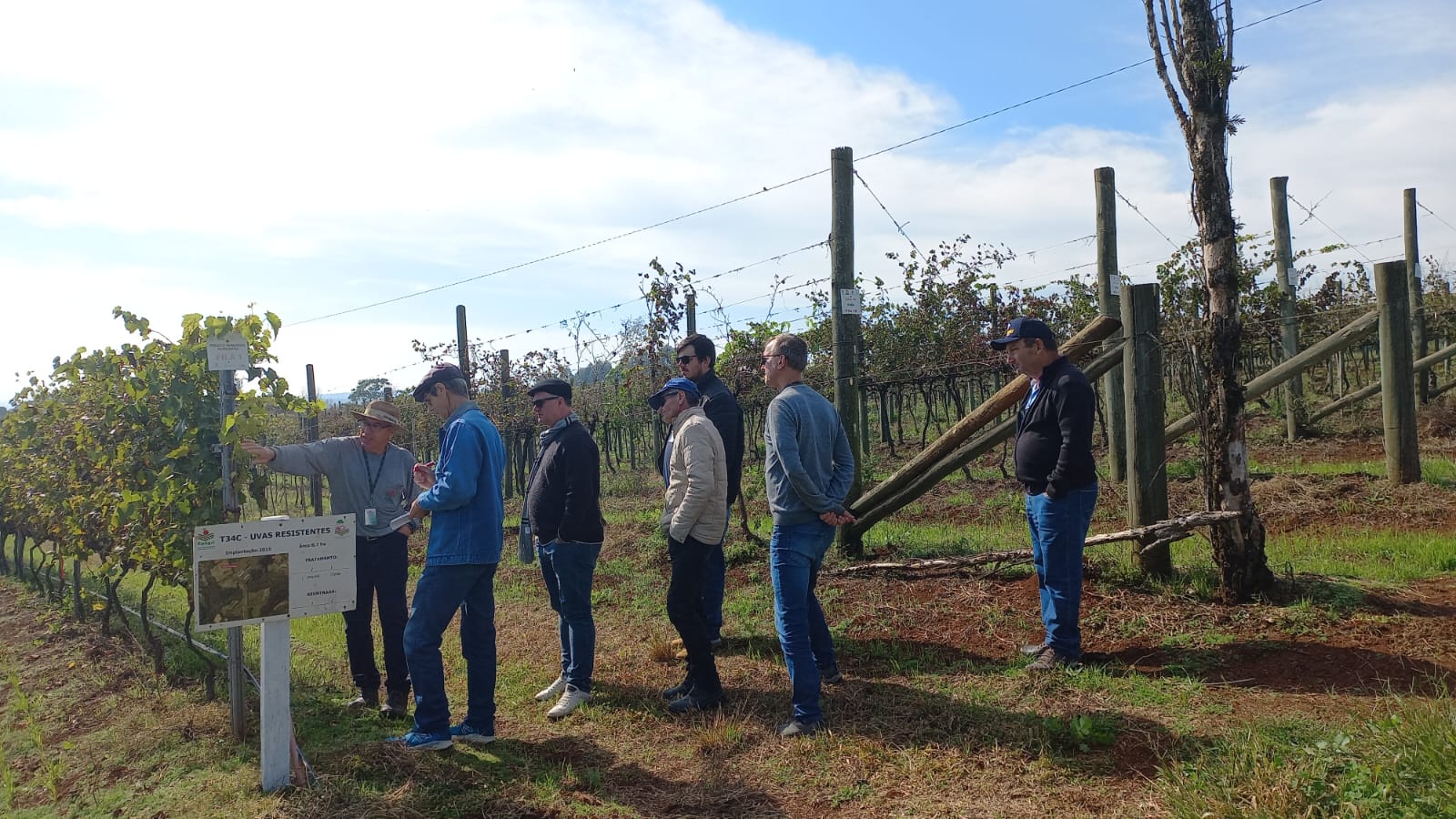 Agricultores Rodeenses participam do VIII Seminário Catarinense da Uva, Vinho e Suco em Pinheiro Preto. 1 agricultores de Rodeio1