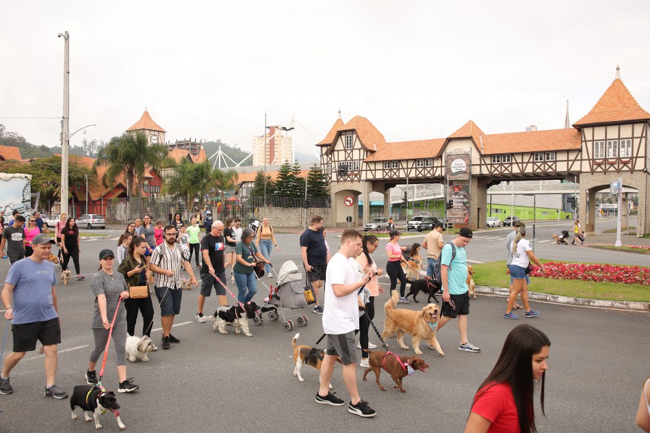 Caominhada em Blumenau1