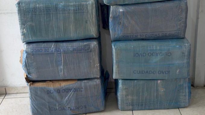 Ação conjunta resulta na apreensão de 319 kg de maconha em SC 1 droga 03 06
