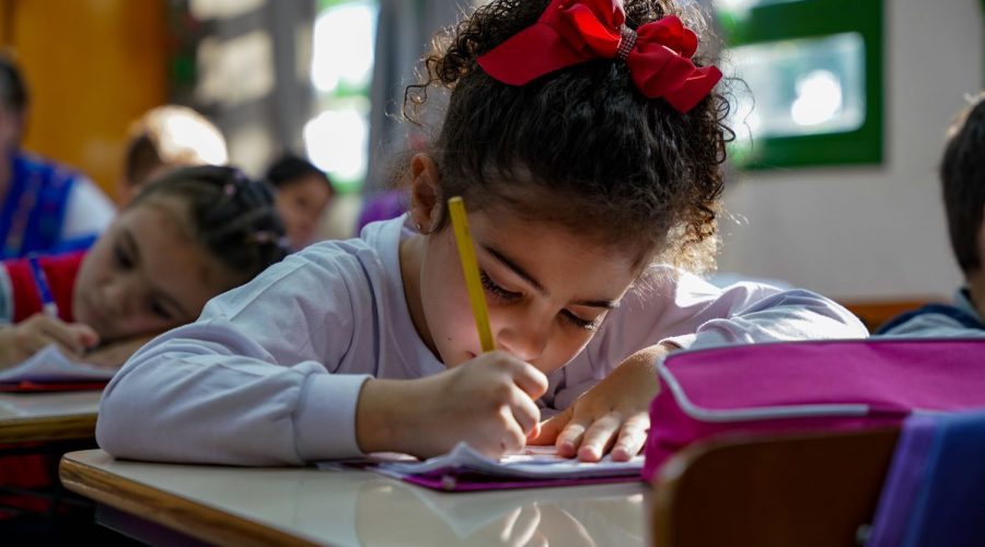 escola educação