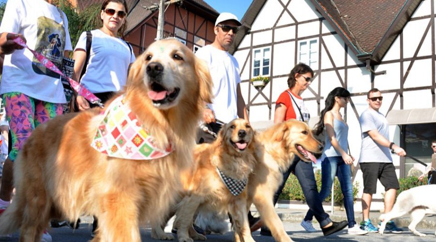 Cãominhada de Blumenau