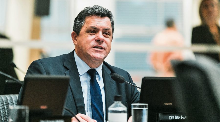 Deputado Naatz