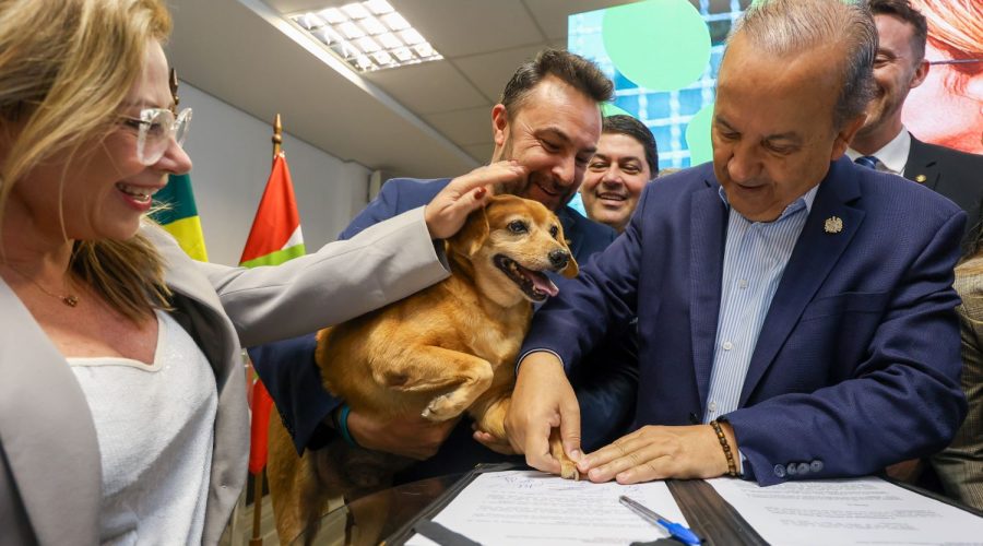Foto: Leo Munhoz / SECOM GOVSC