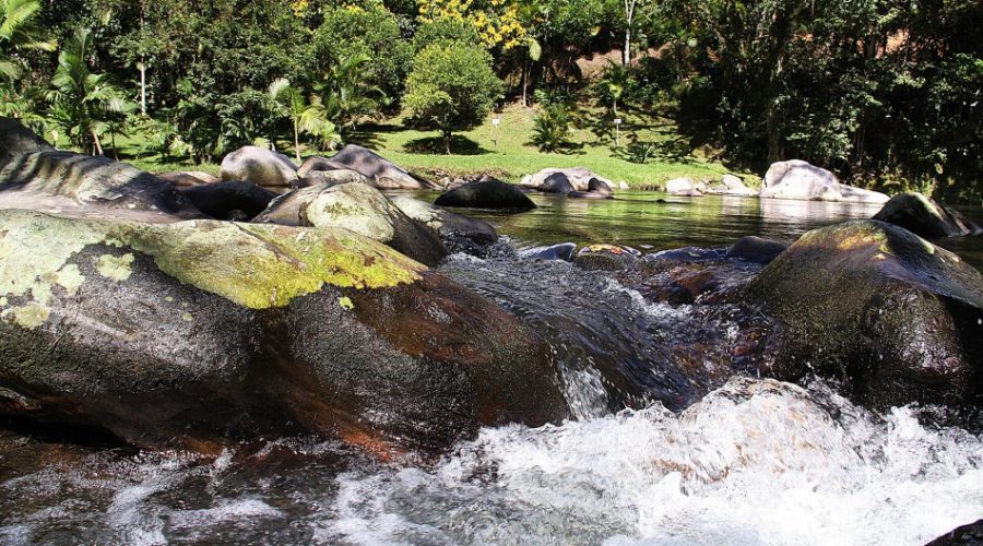 Foto: Samae Blumenau