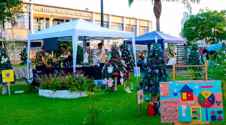 Feira de Rua Flor & Ser Indaial