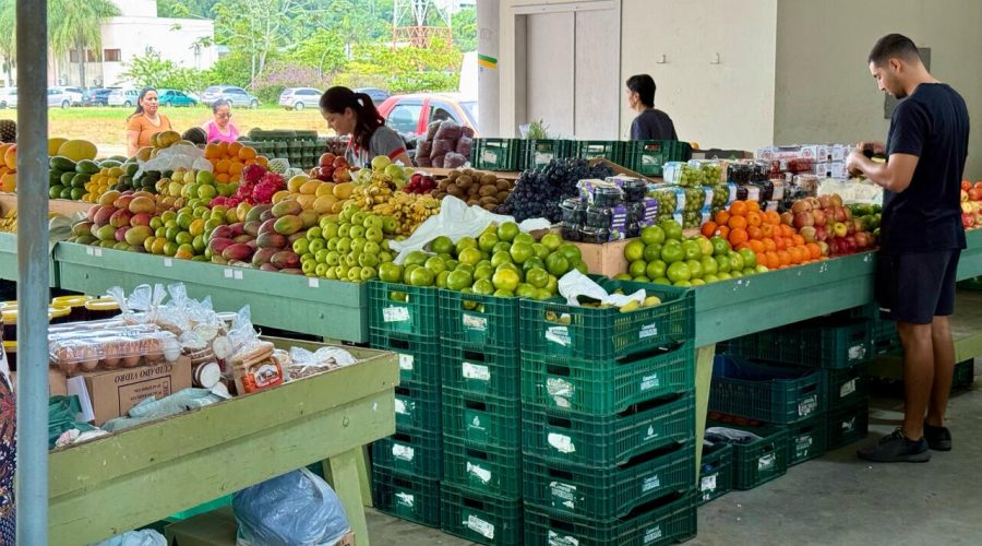 Feira Livre de Indaial