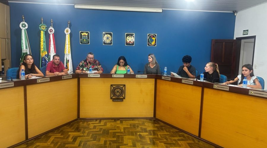 Câmara de Vereadores de Apiúna  Mirins