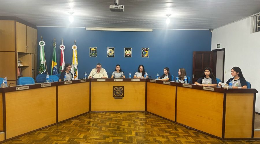 Câmara Mirim de Apiúna