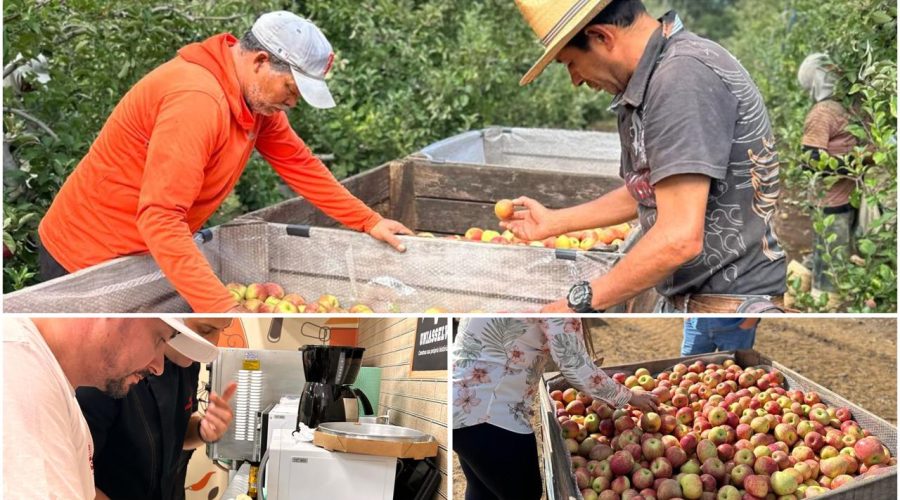 Festival Gastronômico & Cultural de Indaial 2025