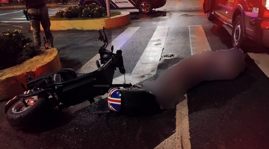 Foto: Guarda Municipal de Itajaí