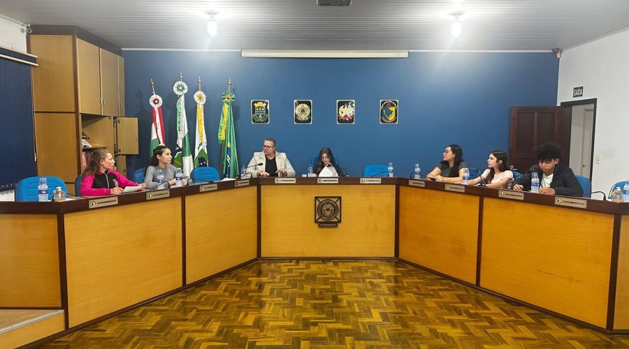 Câmara de Vereadores de Apiúna Mirim