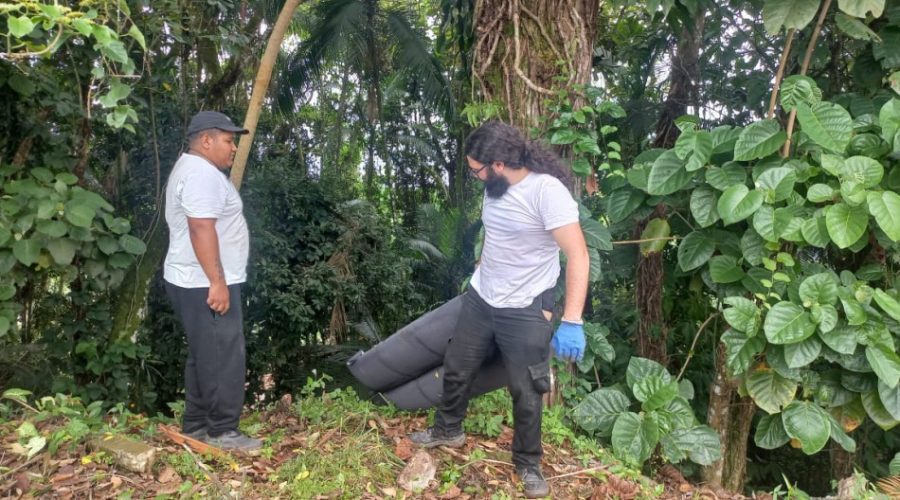 combate à dengue EM BLUMENAU