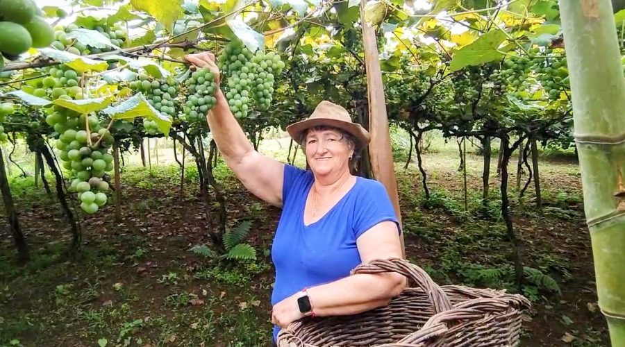 Foto: Divulgação Ascom SAS
